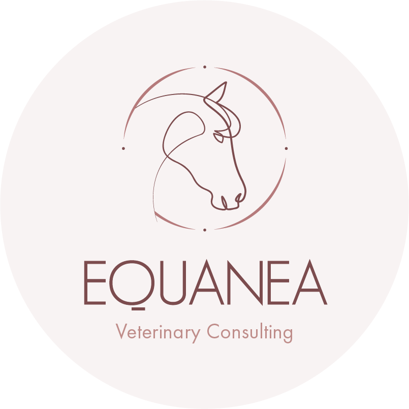 Logotype Equanea pour le footer